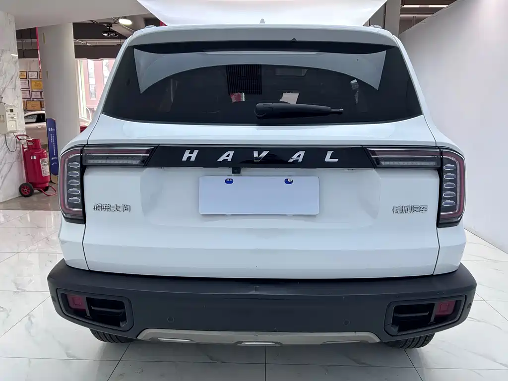 Haval Haval Big Dog 2021 1.5T DCT 2WD Border Collie Edition 2021 - thumbnail 6
