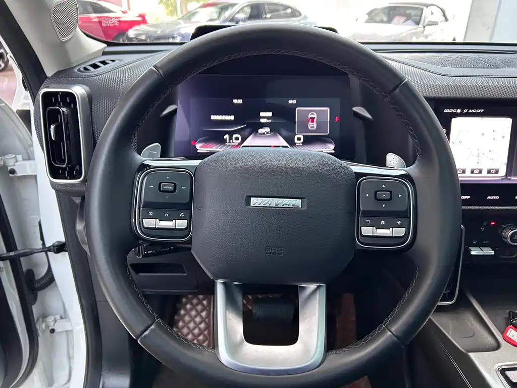 Haval Haval Big Dog 2021 1.5T DCT 2WD Border Collie Edition 2021 - thumbnail 16