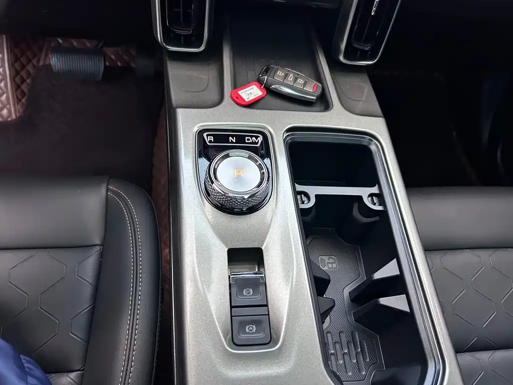 Haval Haval Big Dog 2021 1.5T DCT 2WD Border Collie Edition 2021 - thumbnail 17