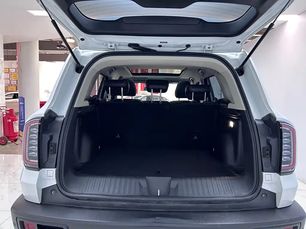 Haval Haval Big Dog 2021 1.5T DCT 2WD Border Collie Edition 2021 - thumbnail 21