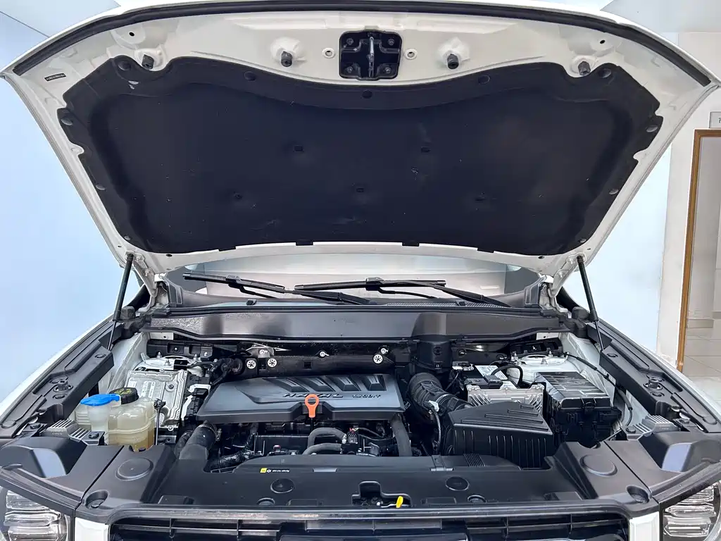 Haval Haval Big Dog 2021 1.5T DCT 2WD Border Collie Edition 2021 - thumbnail 24