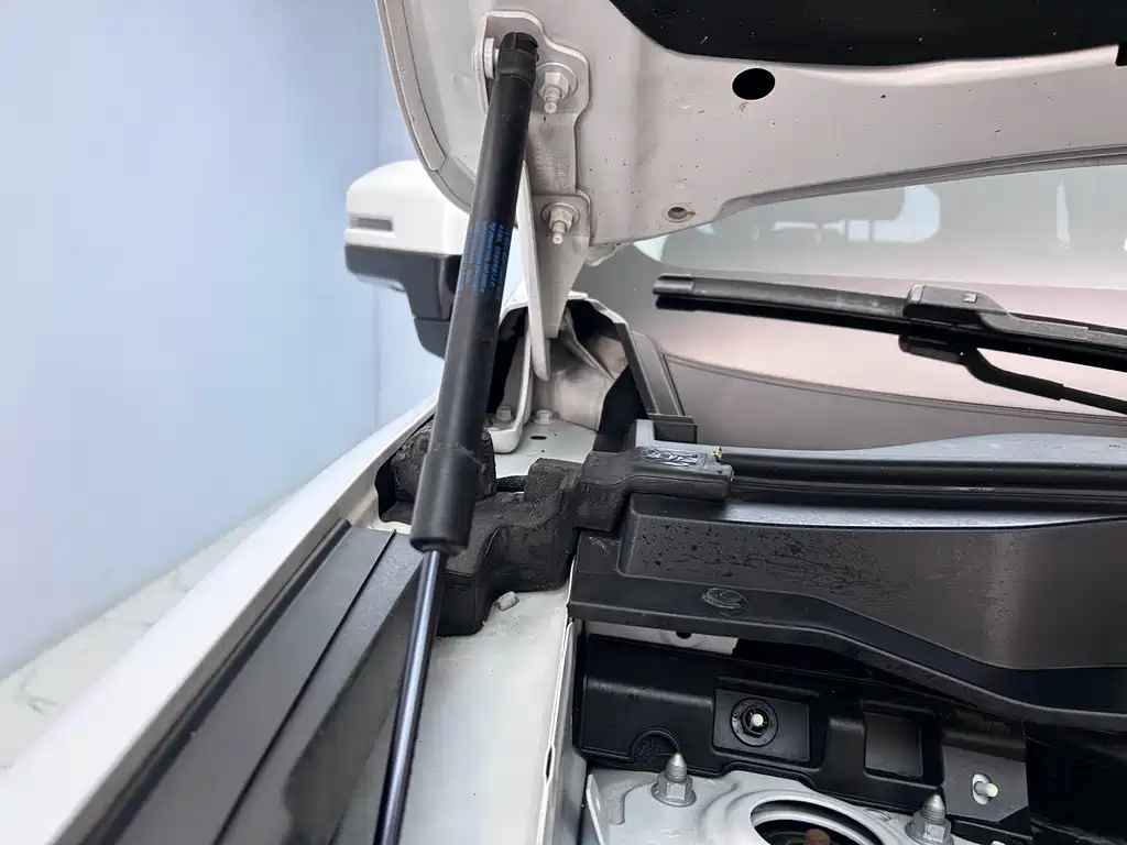 Haval Haval Big Dog 2021 1.5T DCT 2WD Border Collie Edition 2021 - thumbnail 26