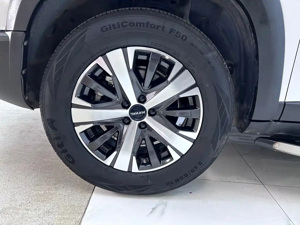 Haval Haval Big Dog 2021 1.5T DCT 2WD Border Collie Edition 2021 - thumbnail 28