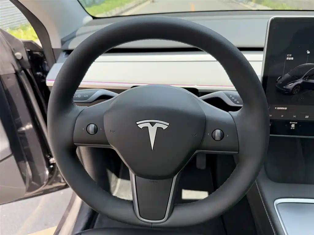 Tesla Model Y 2024 Rear-Wheel Drive 2024 - thumbnail 9