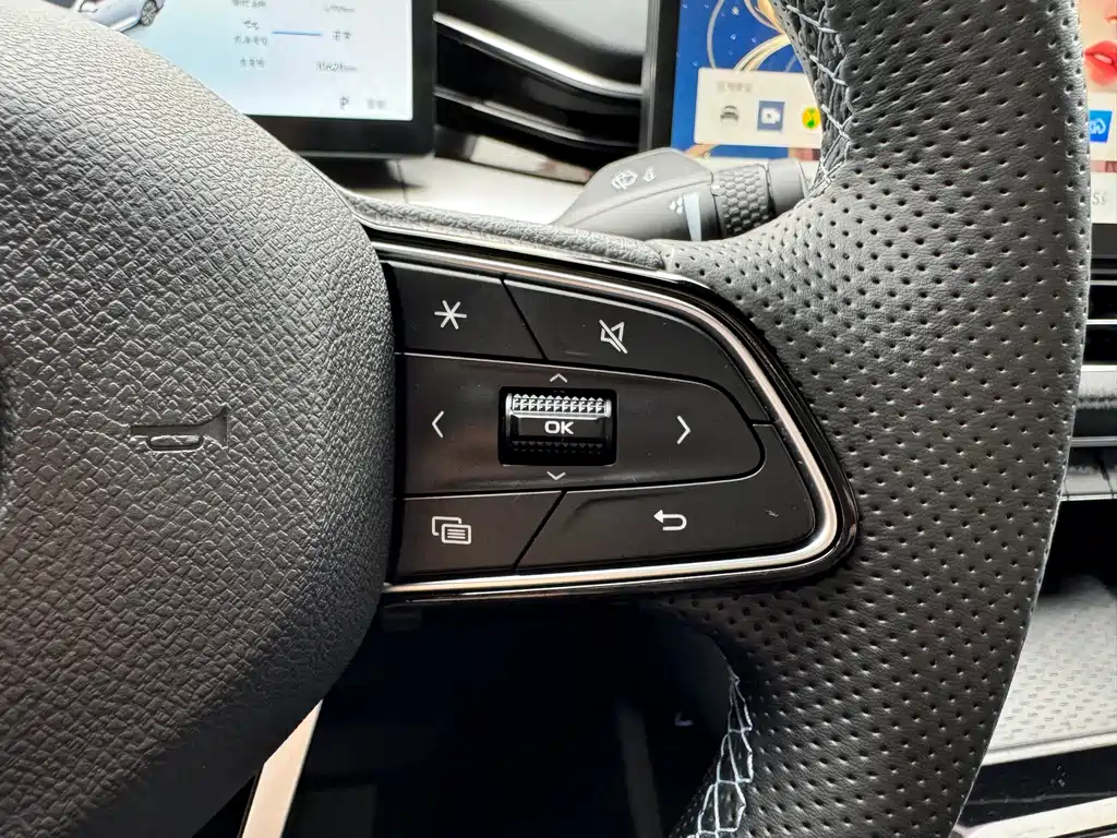 Geely Auto Geely Xingrui 2025 Edition Dongfang Yao 2.0TD Lansheng Version 2025 - thumbnail 21