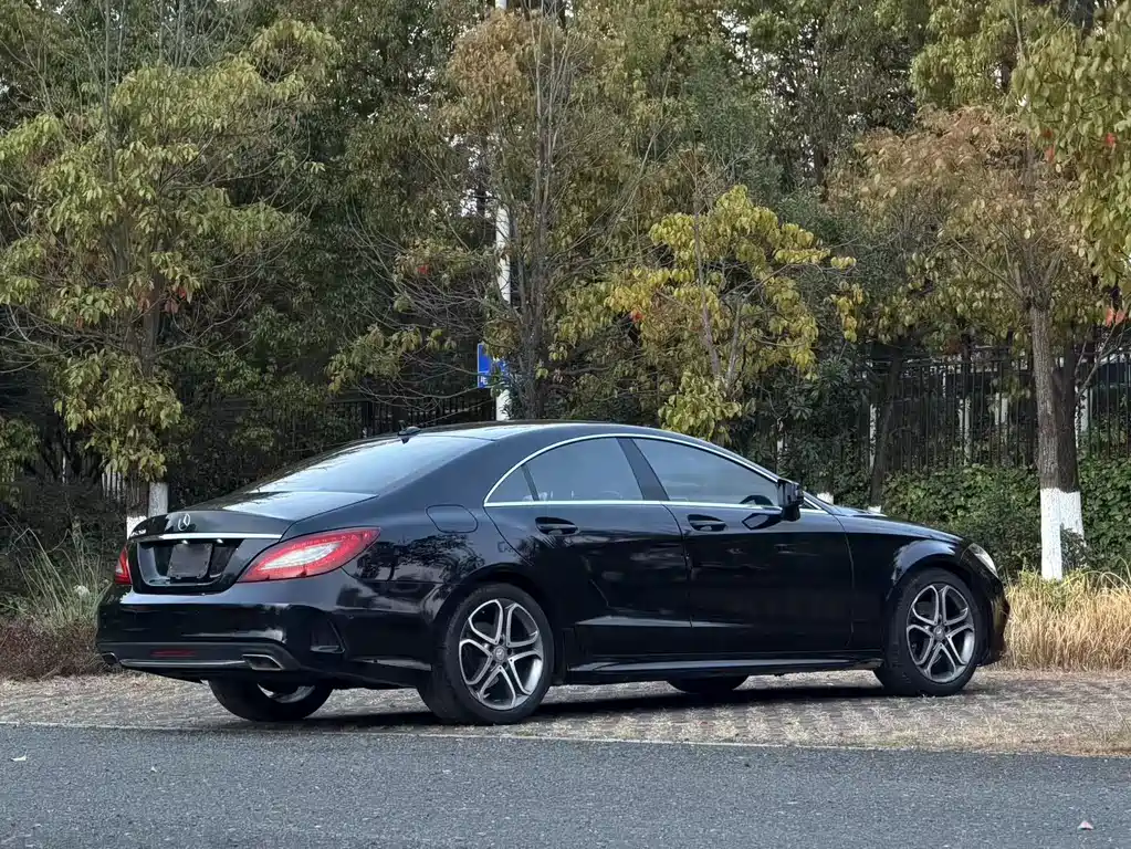Mercedes-Benz Mercedes-Benz CLS 2015 CLS 260 2015 - thumbnail 9