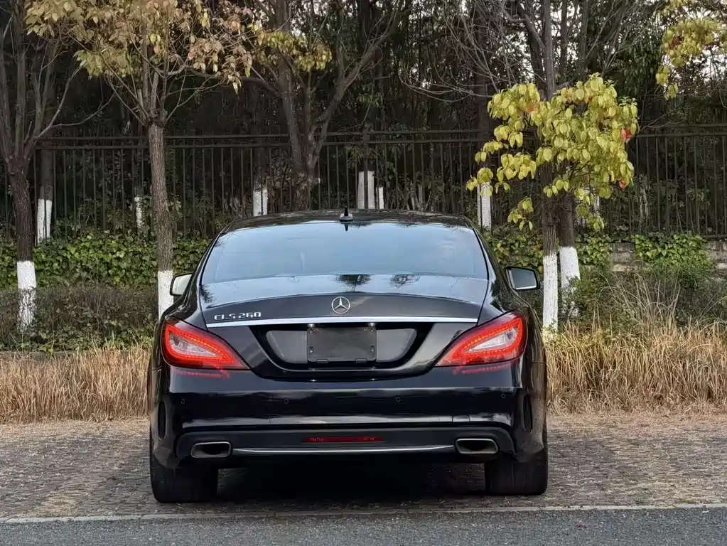 Mercedes-Benz Mercedes-Benz CLS 2015 CLS 260 2015 - thumbnail 10