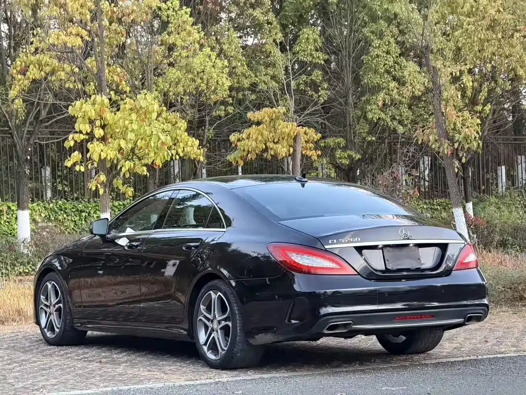 Mercedes-Benz Mercedes-Benz CLS 2015 CLS 260 2015 - thumbnail 11