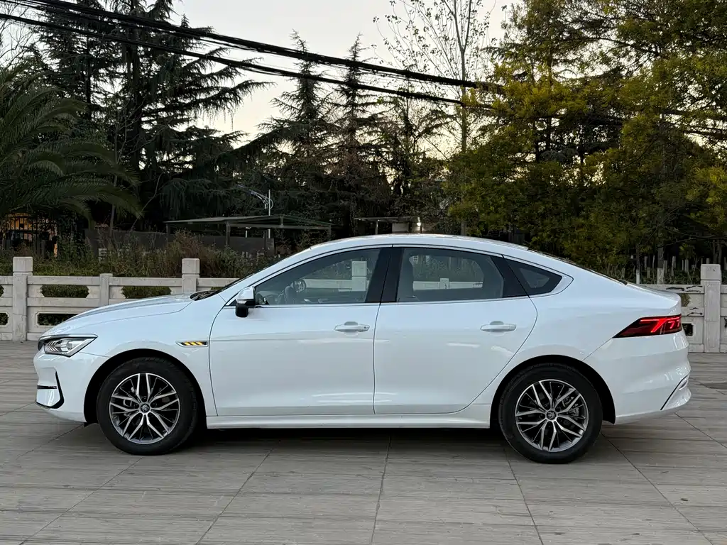 BYD BYD Qin PLUS 2024 Glory Edition EV 510KM Range-Extended Model 2025 - thumbnail 7