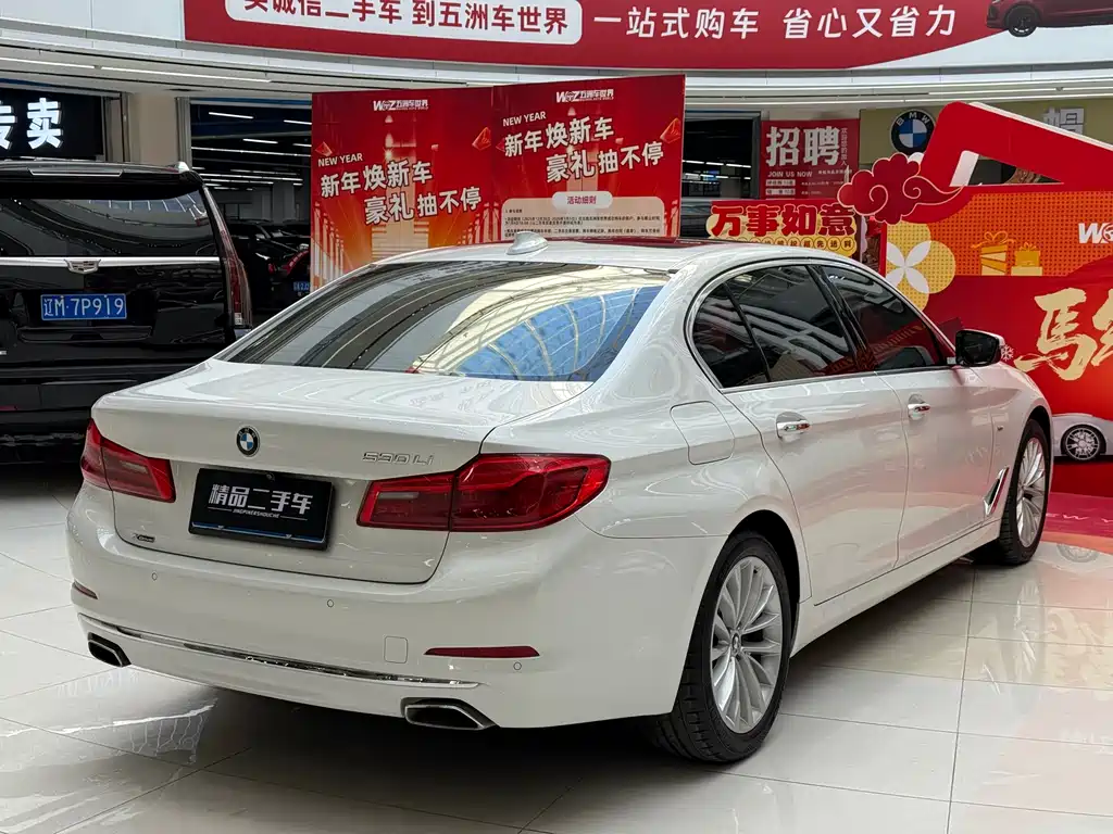 BMW BMW 5 Series 2018 Facelift 530Li xDrive Luxury Package 2018 - thumbnail 11