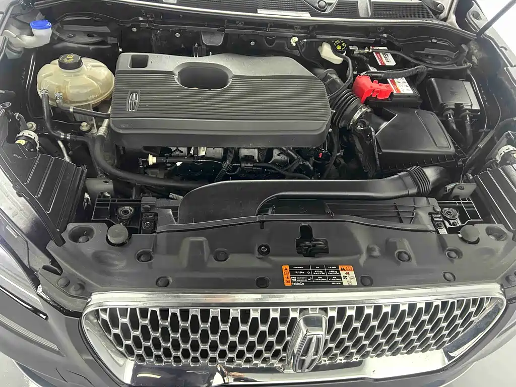 Lincoln Lynx 2021 2.0T Front-Wheel Drive Premium Edition 2021 - thumbnail 5