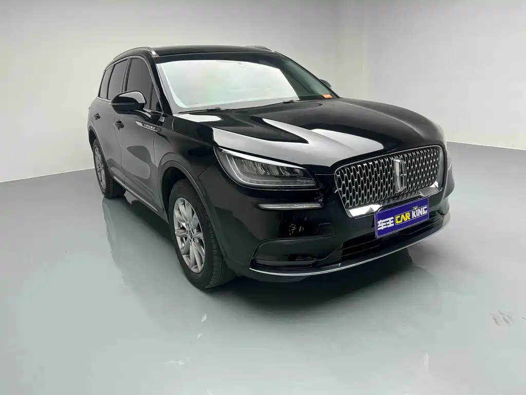 Lincoln Lynx 2021 2.0T Front-Wheel Drive Premium Edition 2021 - thumbnail 13