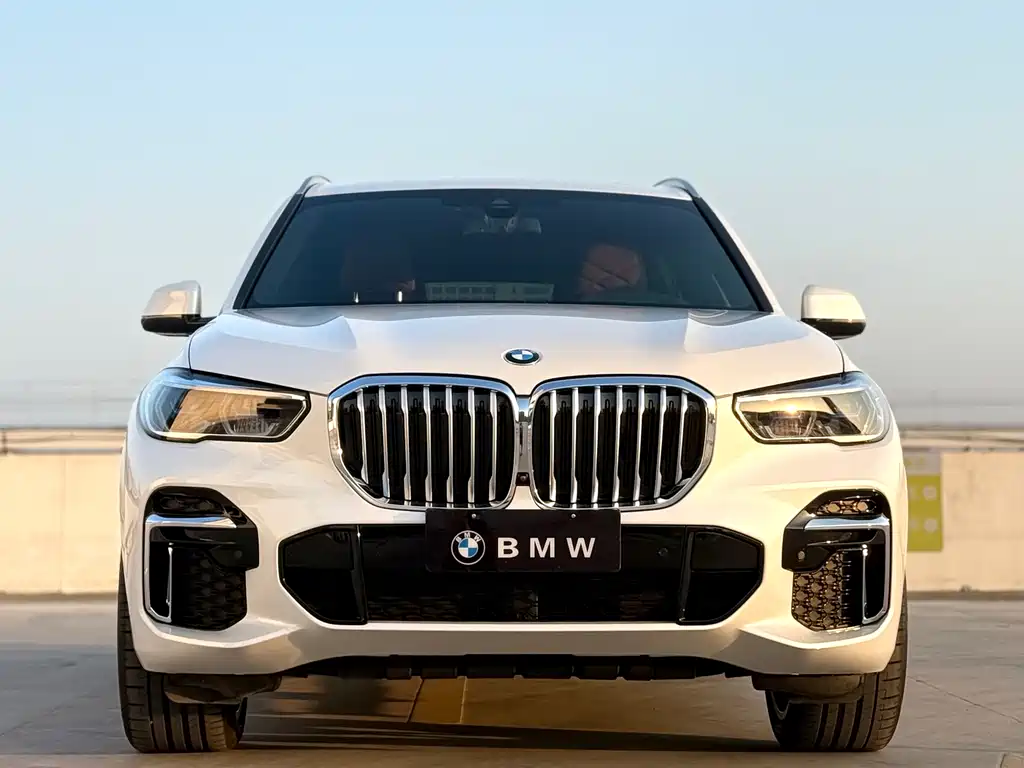 BMW BMW X5 xDrive 40Li M Sport Package 2022 Model Year 2023 - thumbnail 2