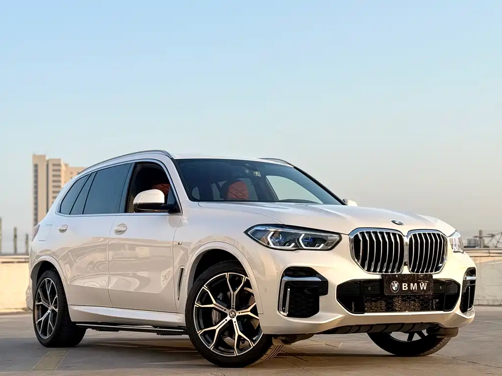 BMW BMW X5 xDrive 40Li M Sport Package 2022 Model Year 2023 - thumbnail 3