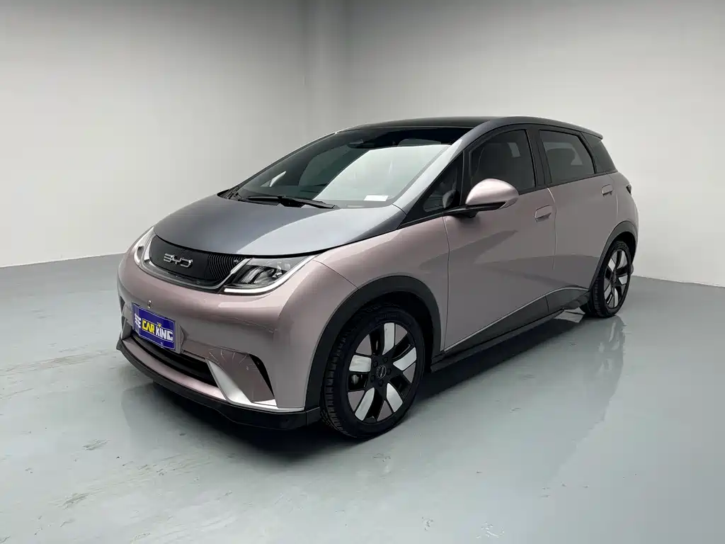 BYD Dolphin 2021 Model 401km Knight Edition 2023
