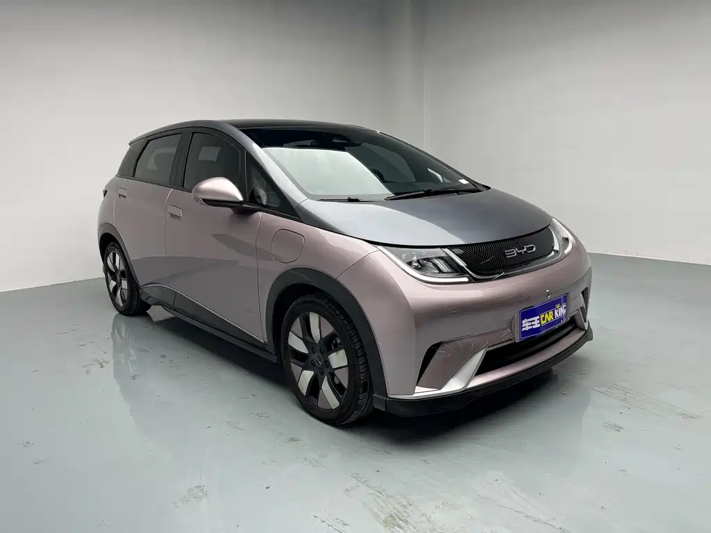 BYD Dolphin 2021 Model 401km Knight Edition 2023 - thumbnail 2