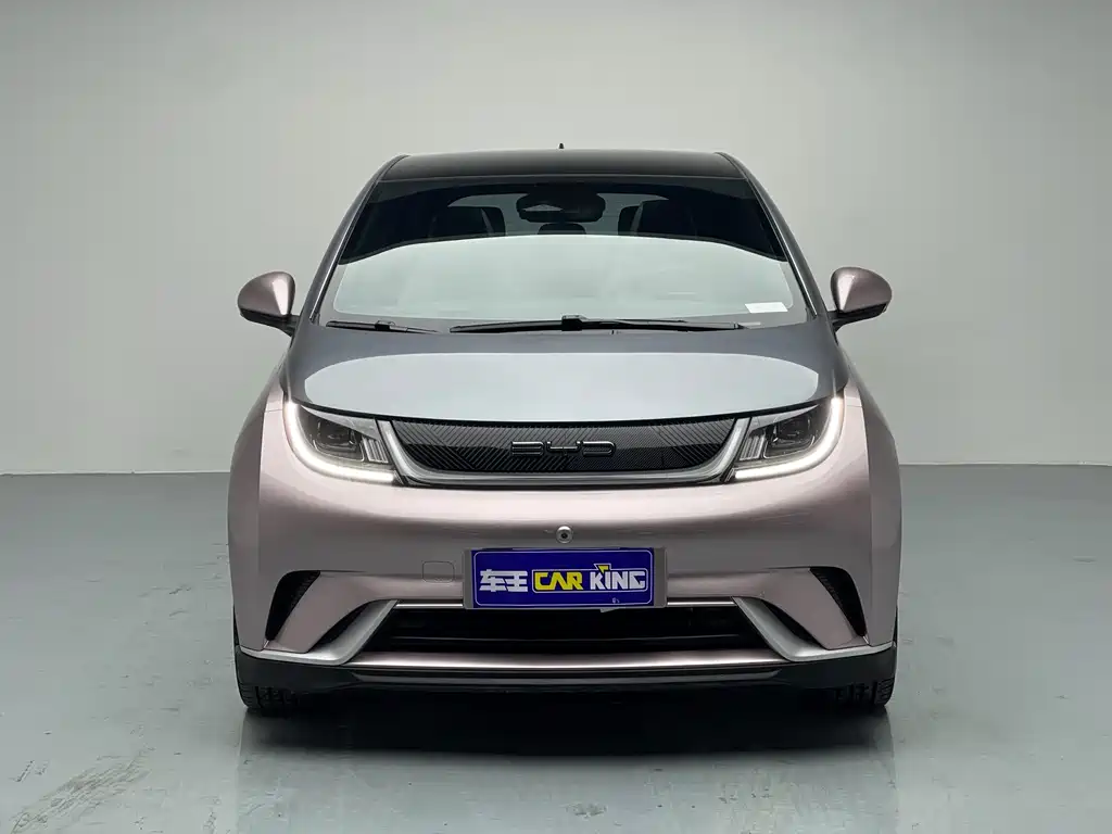 BYD Dolphin 2021 Model 401km Knight Edition 2023 - thumbnail 3