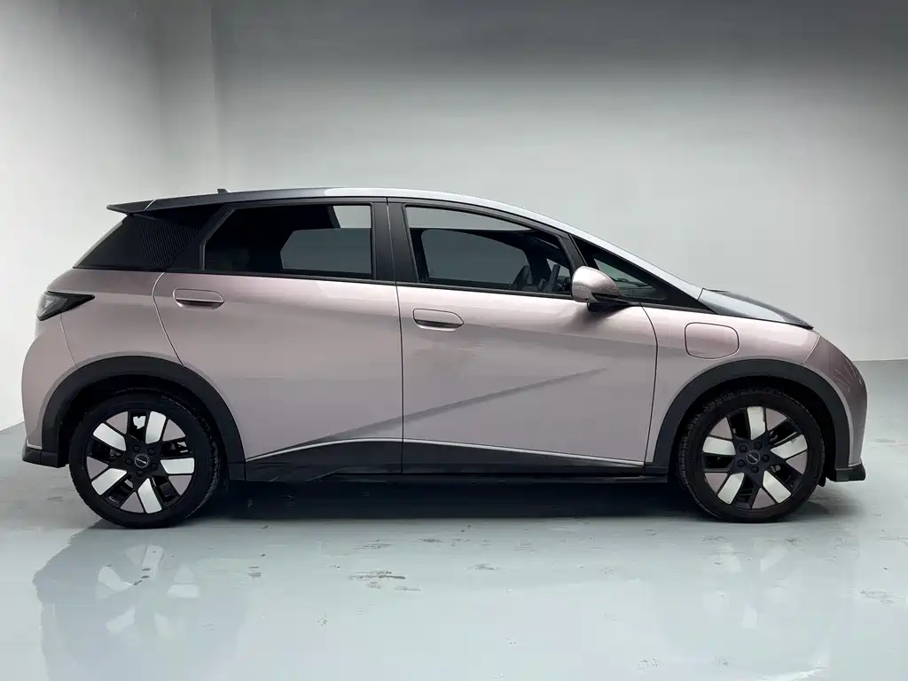 BYD Dolphin 2021 Model 401km Knight Edition 2023 - thumbnail 4