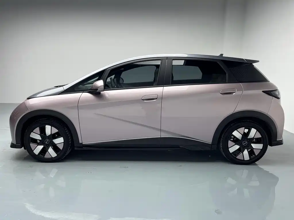 BYD Dolphin 2021 Model 401km Knight Edition 2023 - thumbnail 5