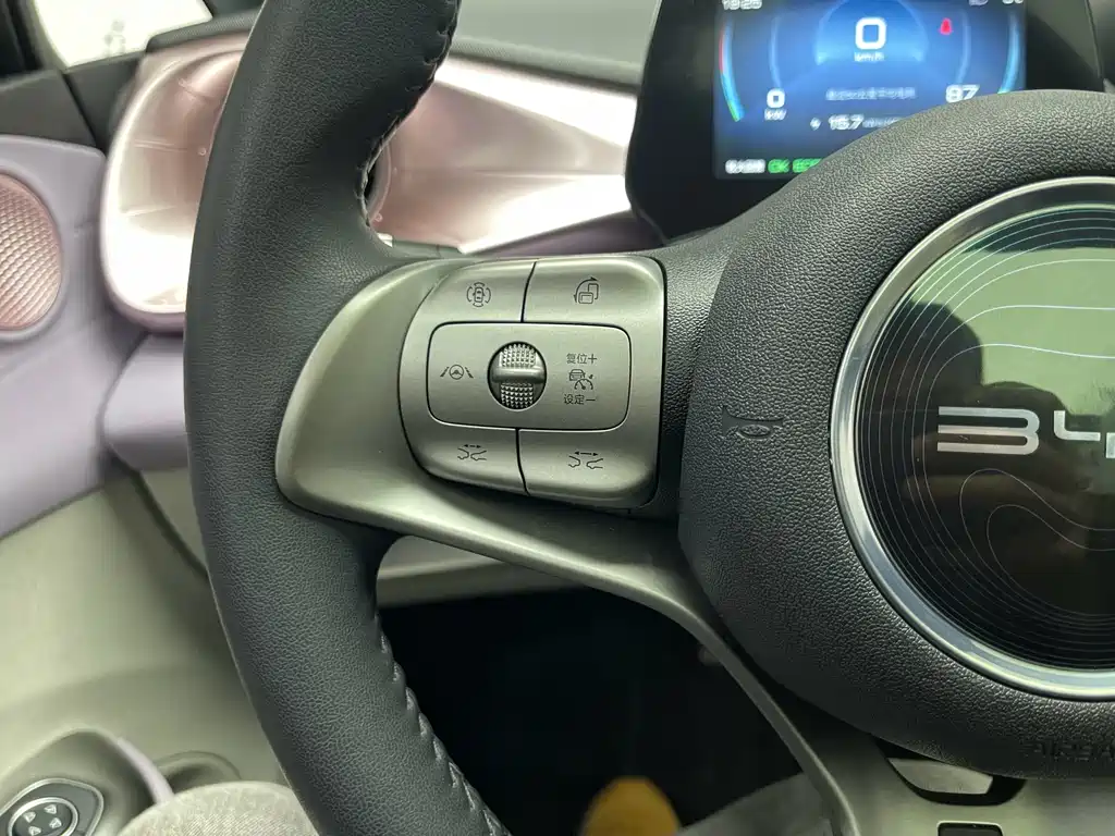 BYD Dolphin 2021 Model 401km Knight Edition 2023 - thumbnail 7