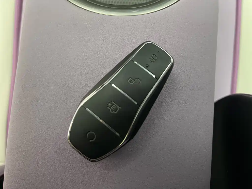 BYD Dolphin 2021 Model 401km Knight Edition 2023 - thumbnail 9