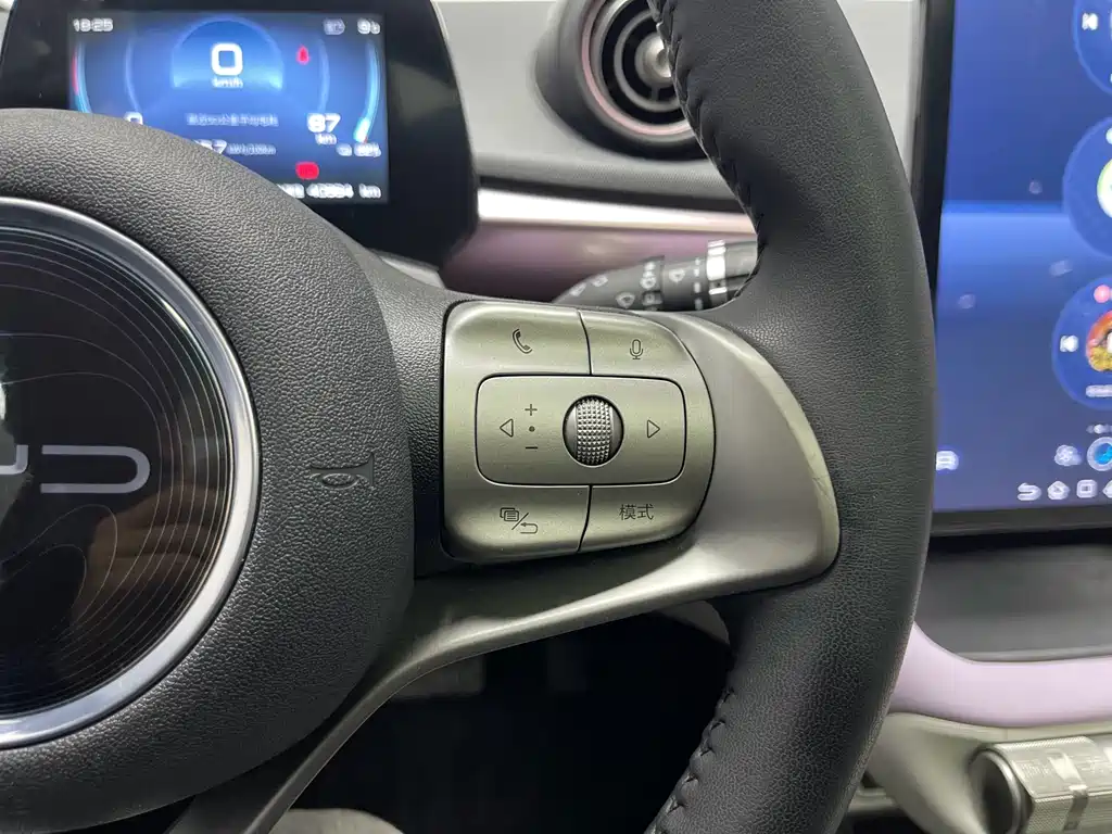 BYD Dolphin 2021 Model 401km Knight Edition 2023 - thumbnail 11