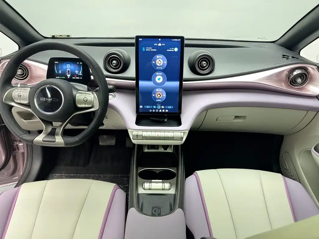 BYD Dolphin 2021 Model 401km Knight Edition 2023 - thumbnail 15