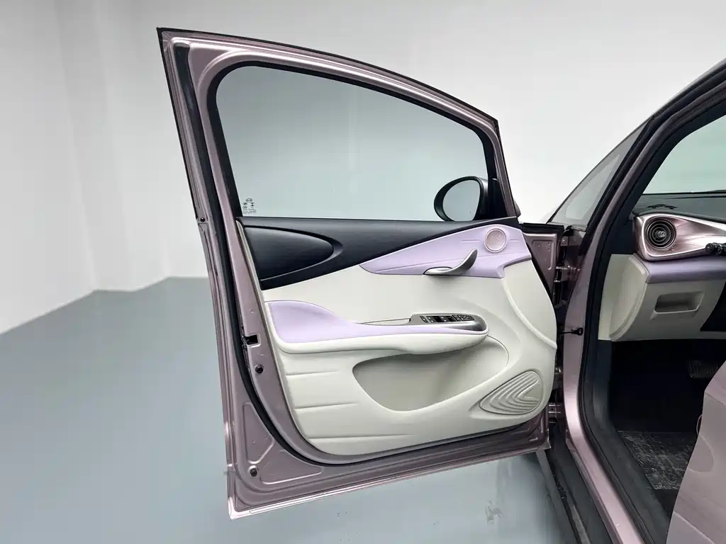 BYD Dolphin 2021 Model 401km Knight Edition 2023 - thumbnail 16