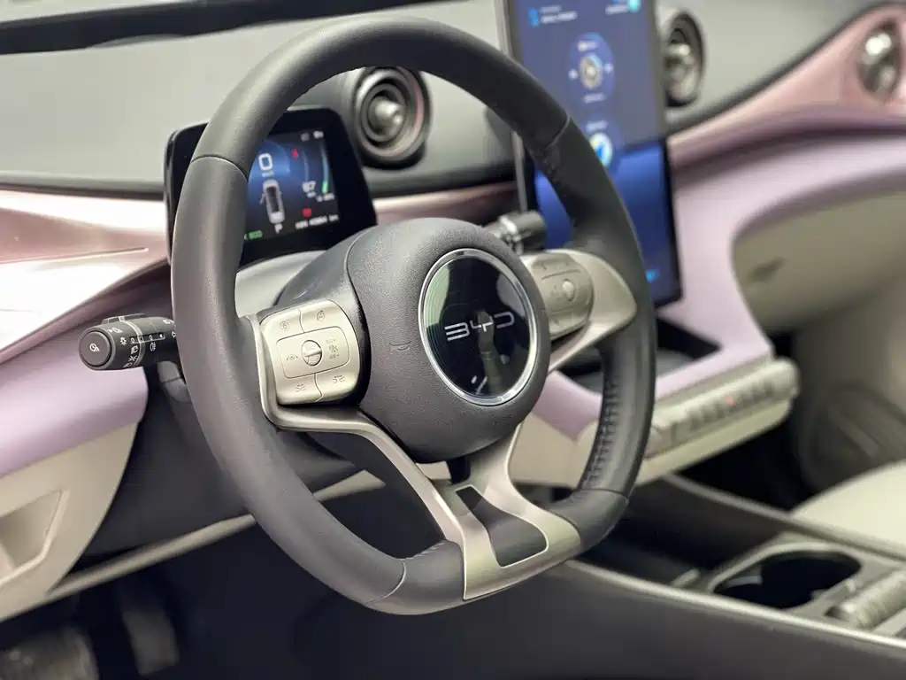 BYD Dolphin 2021 Model 401km Knight Edition 2023 - thumbnail 18