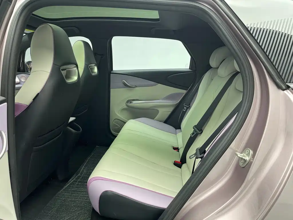 BYD Dolphin 2021 Model 401km Knight Edition 2023 - thumbnail 19