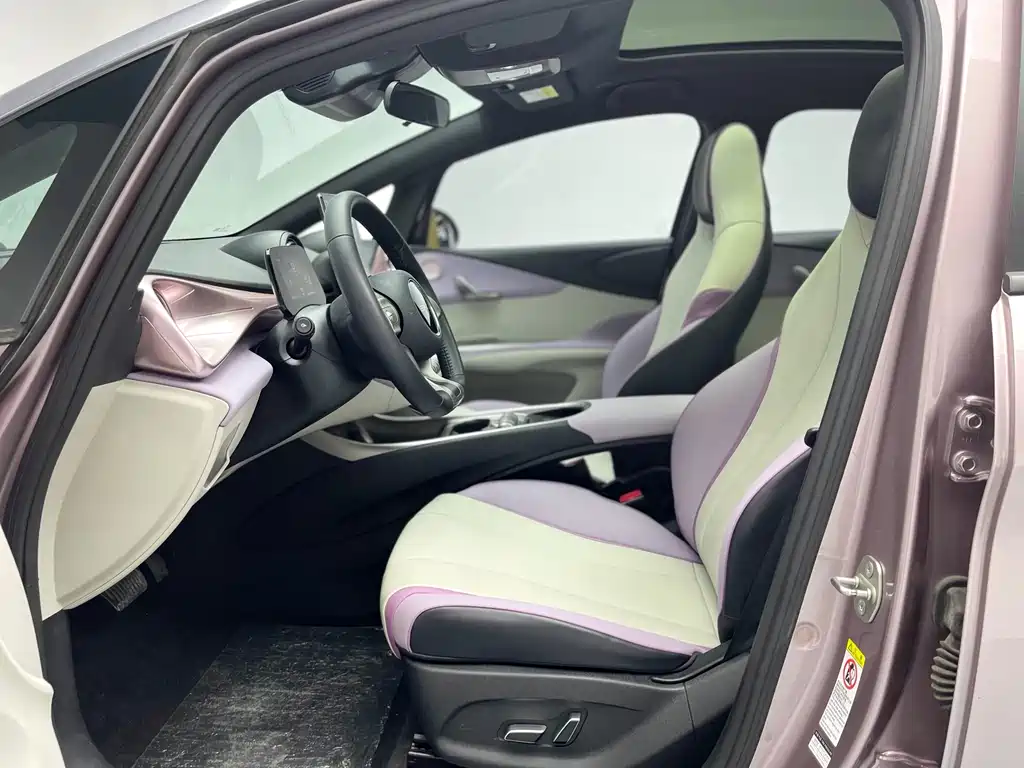 BYD Dolphin 2021 Model 401km Knight Edition 2023 - thumbnail 20