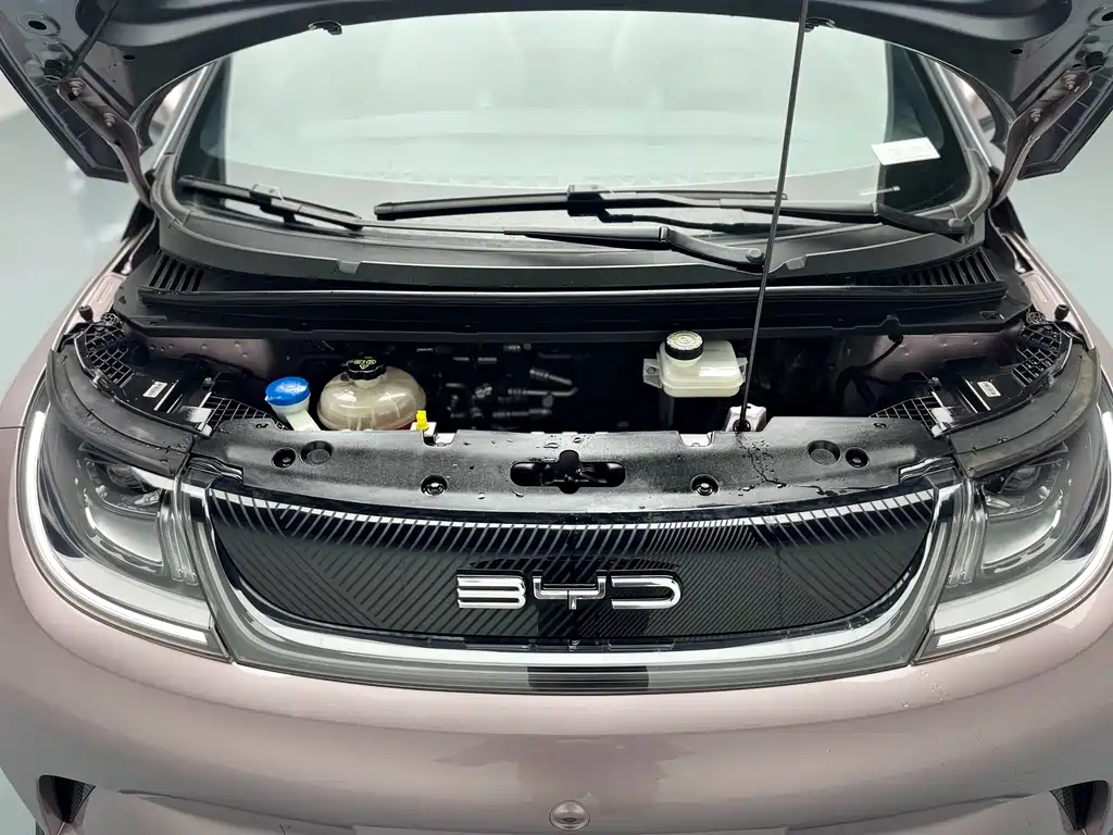 BYD Dolphin 2021 Model 401km Knight Edition 2023 - thumbnail 23