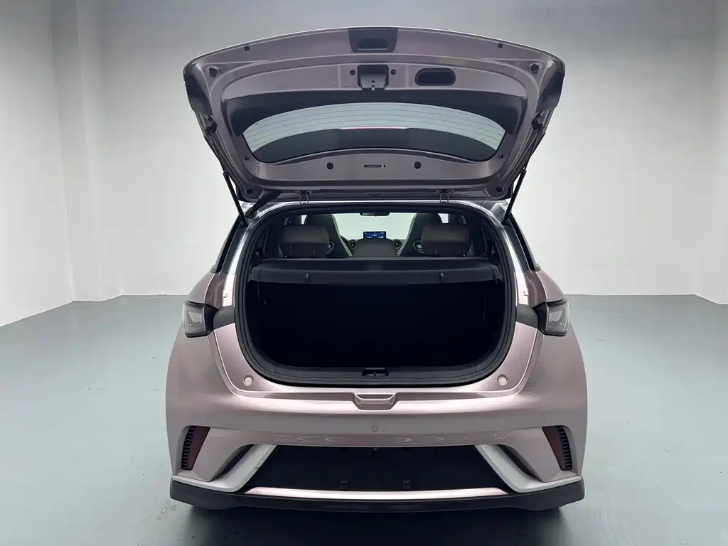 BYD Dolphin 2021 Model 401km Knight Edition 2023 - thumbnail 25