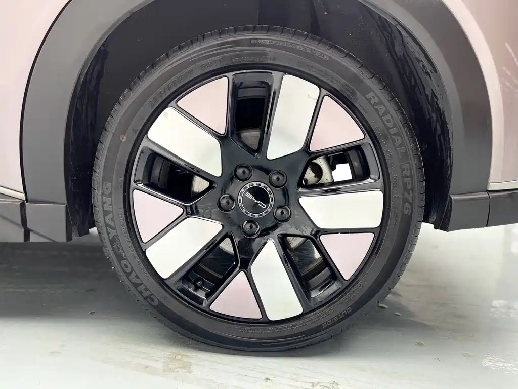 BYD Dolphin 2021 Model 401km Knight Edition 2023 - thumbnail 26