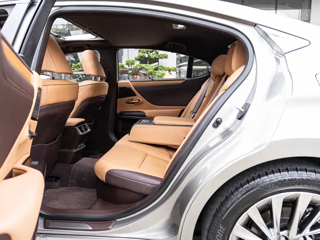 Lexus Lexus ES 300h Executive Edition 2018 Model China V Emission Standard 2019 - thumbnail 10