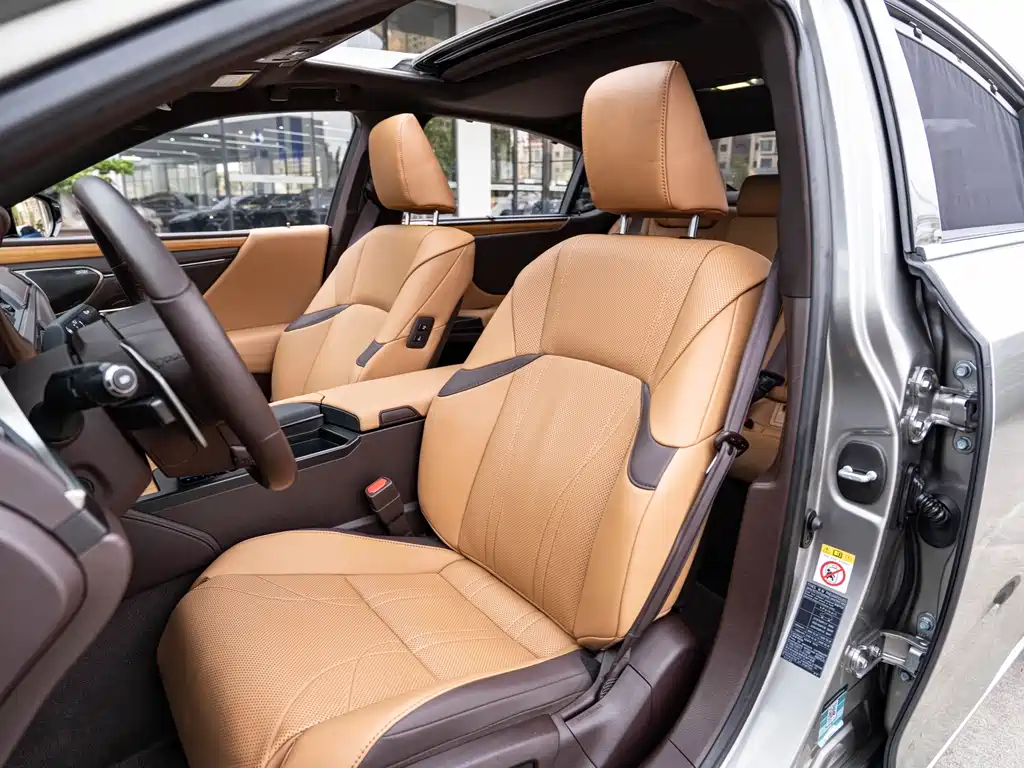 Lexus Lexus ES 300h Executive Edition 2018 Model China V Emission Standard 2019 - thumbnail 11