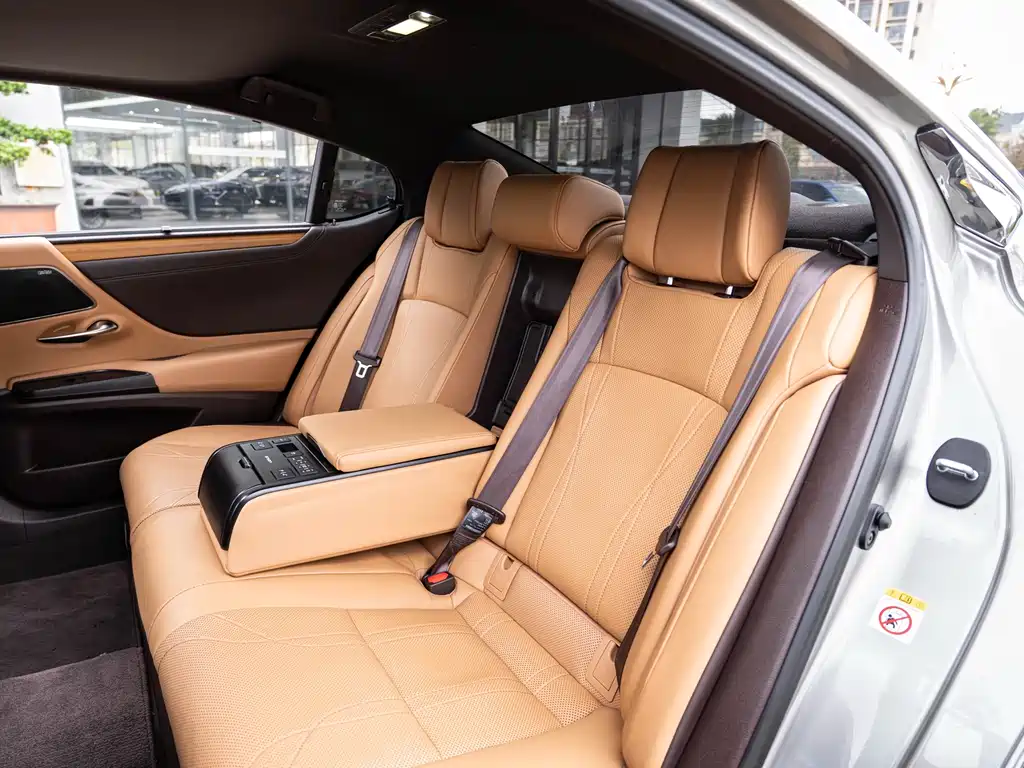 Lexus Lexus ES 300h Executive Edition 2018 Model China V Emission Standard 2019 - thumbnail 12