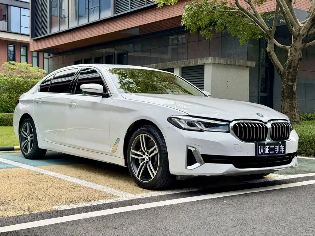 BMW BMW 5 Series 2021 530Li Leading Model M Sport Package 2021 - thumbnail 4