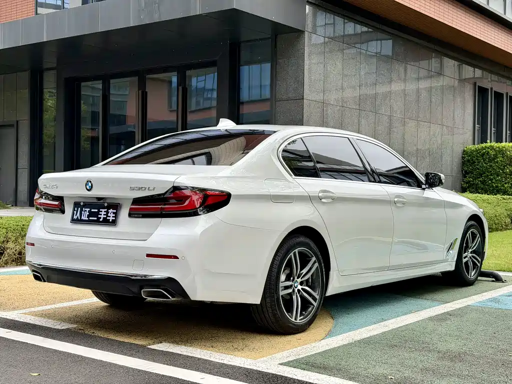 BMW BMW 5 Series 2021 530Li Leading Model M Sport Package 2021 - thumbnail 6