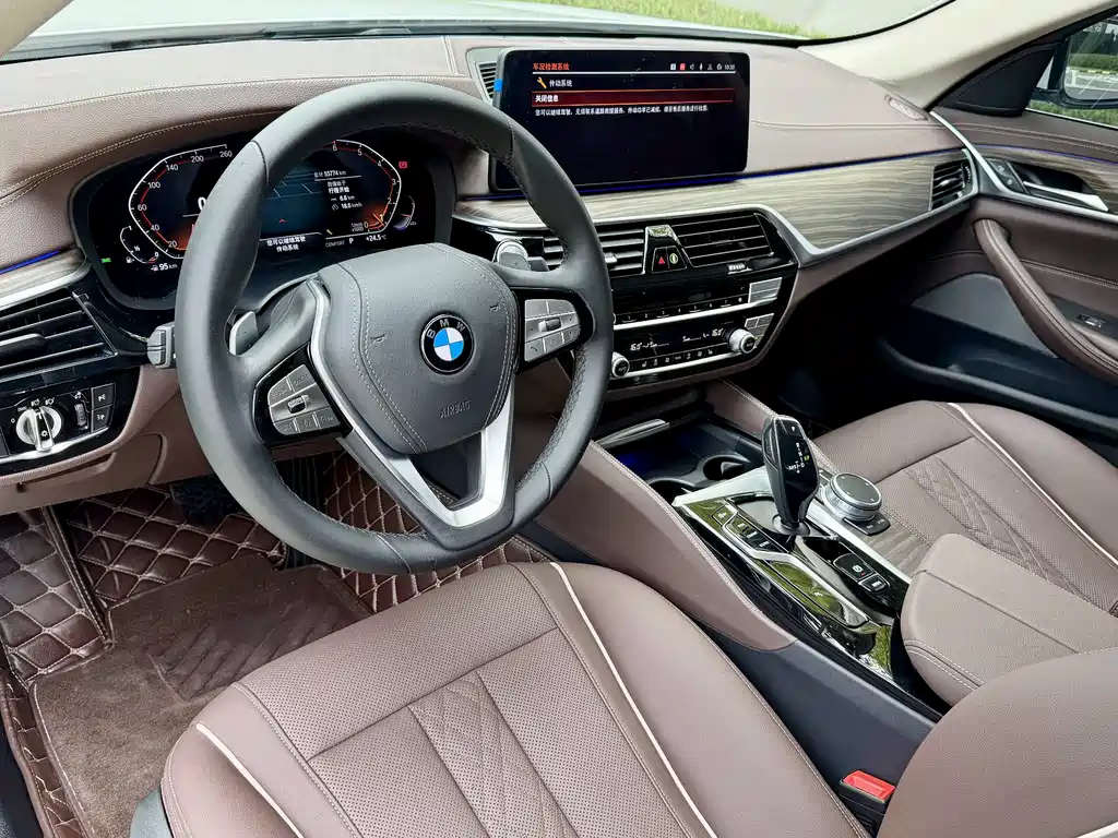 BMW BMW 5 Series 2021 530Li Leading Model M Sport Package 2021 - thumbnail 10