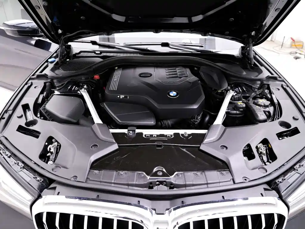 BMW BMW 5 Series 2022 530Li Leading Model M Sport Package 2022 - thumbnail 25