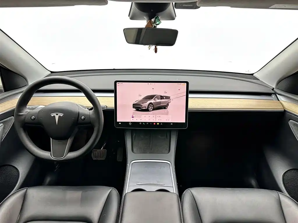 Tesla Model Y 2022 Rear-Wheel Drive 2023 - thumbnail 10
