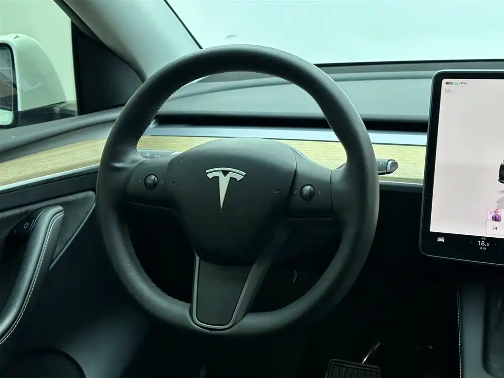 Tesla Model Y 2022 Rear-Wheel Drive 2023 - thumbnail 12