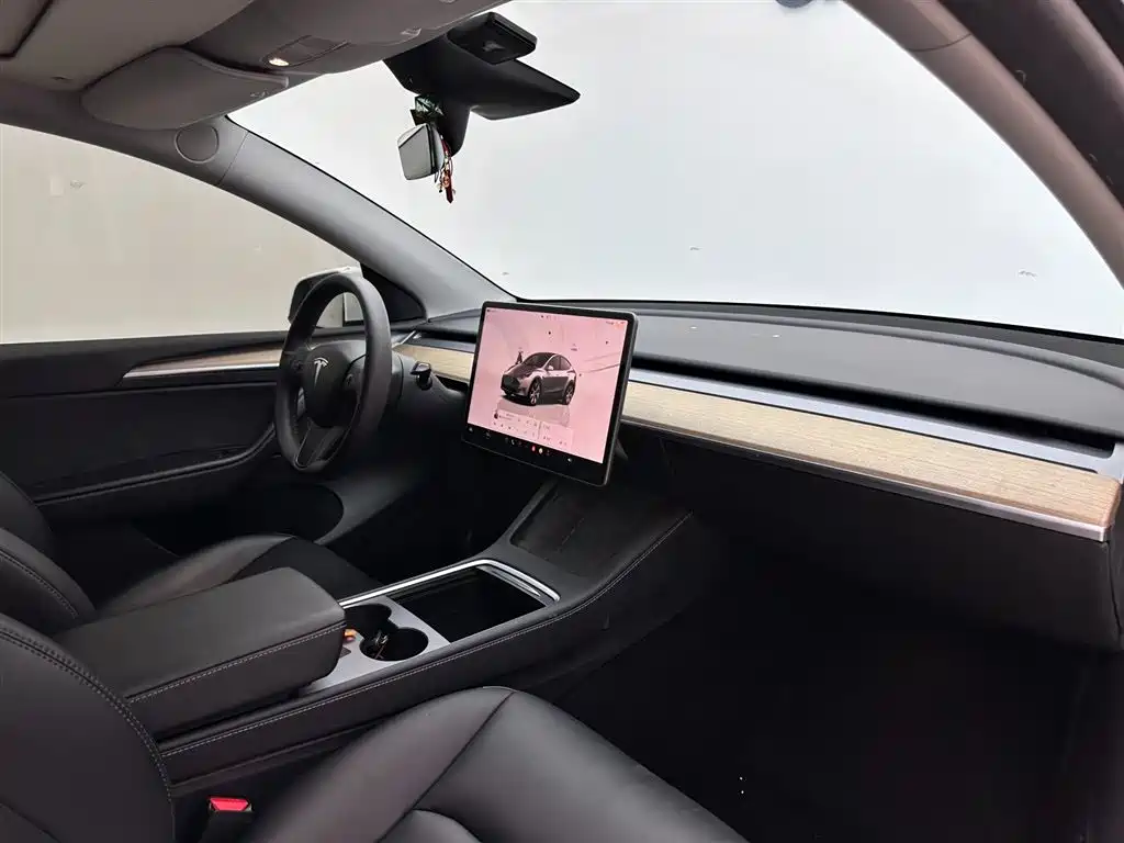 Tesla Model Y 2022 Rear-Wheel Drive 2023 - thumbnail 14