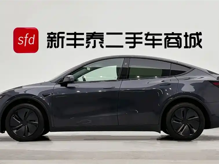 Tesla Model Y 2025 Rear-Wheel Drive Version 2025 - thumbnail 4