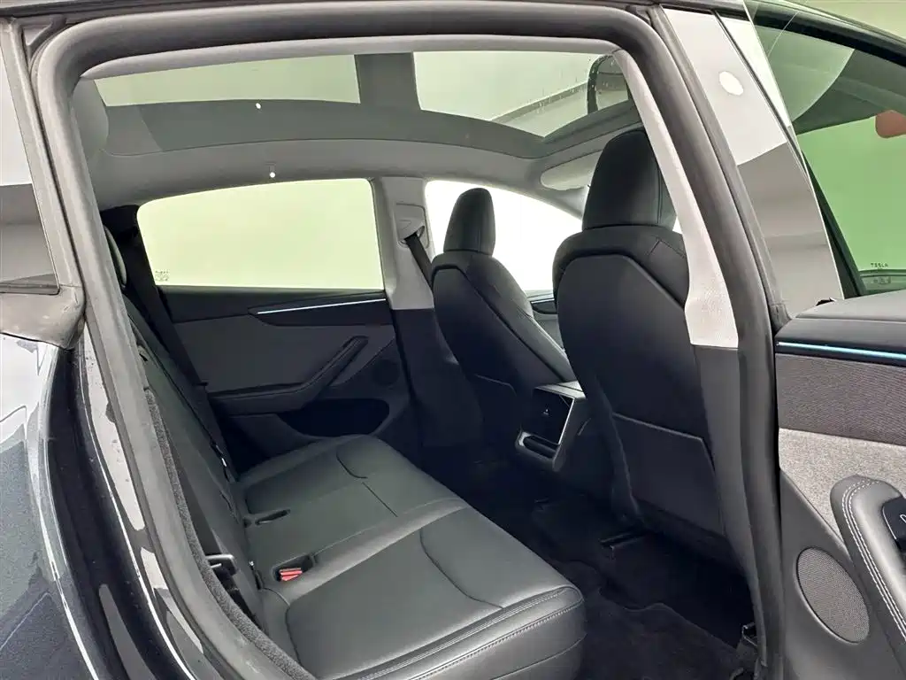 Tesla Model Y 2025 Rear-Wheel Drive Version 2025 - thumbnail 20