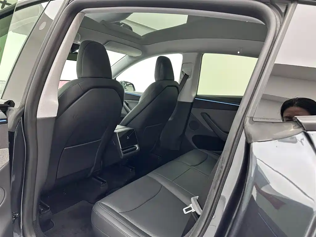 Tesla Model Y 2025 Rear-Wheel Drive Version 2025 - thumbnail 21