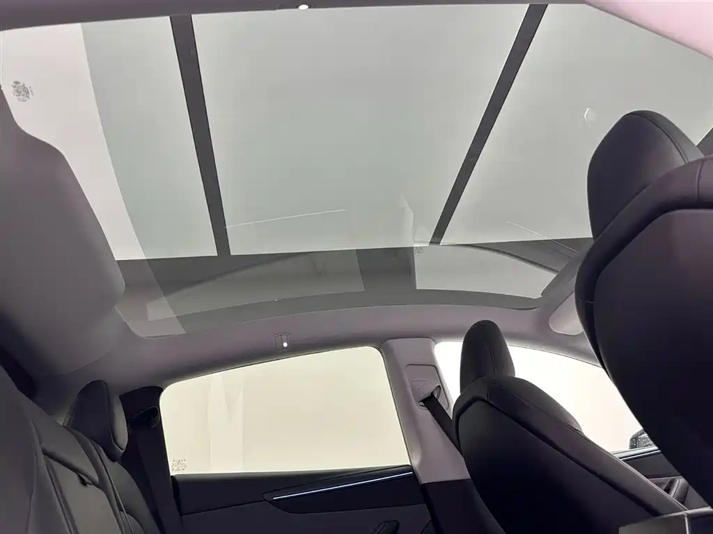 Tesla Model Y 2025 Rear-Wheel Drive Version 2025 - thumbnail 22