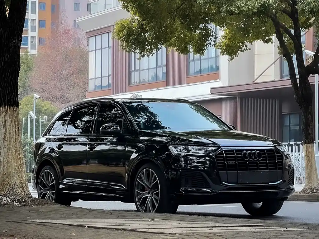 Audi Audi Q7 2023 55 TFSI quattro S line Winter Sports Edition 2023 - thumbnail 3