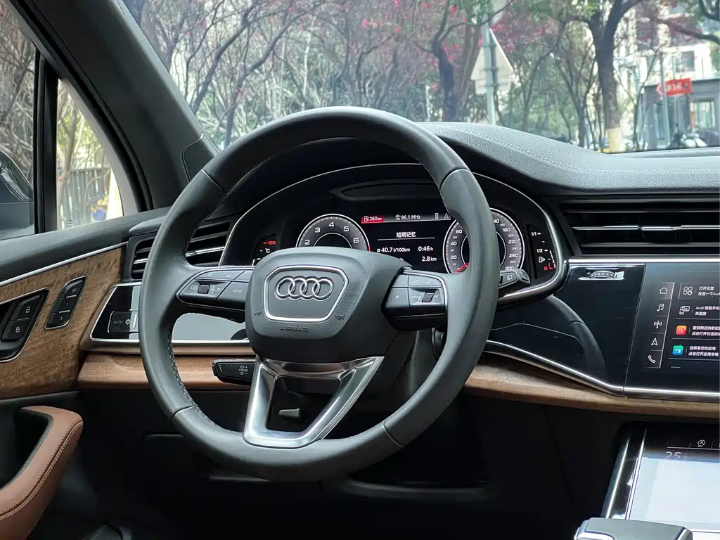Audi Audi Q7 2023 55 TFSI quattro S line Winter Sports Edition 2023 - thumbnail 17
